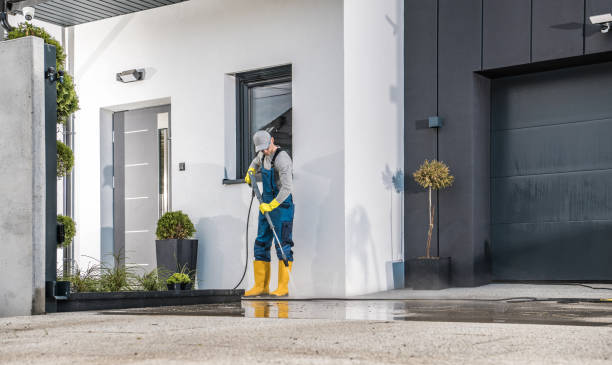 Best Driveway Pressure Washing  in Englishtown, NJ